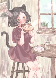  1girl :d animal_ears black_hair bread bread_slice brown_dress brown_eyes cat_ears cat_girl cat_tail commentary_request cup dress drinking_glass eating fang food highres indoors on_stool open_mouth original plant plate potted_plant puffy_short_sleeves puffy_sleeves round_table shiro_kikurage short_dress short_hair short_sleeves sitting skin_fang smile stool table tail window 