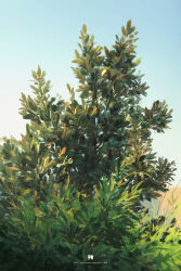 blue_sky bush commentary_request highres mangshuo morning nature no_humans original outdoors plant plant_focus scenery sky 