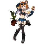  1girl ahoge alternate_costume animal_ears bear_ears bear_girl belt_boots black_footwear black_legwear boots breasts brown_hair copyright_name cropped_jacket damaged denim denim_shorts doughnut food full_body garter_straps girls_frontline grizzly_mkv_(girls_frontline) gun handgun holding holding_food holster jacket navel official_art open_clothes open_jacket open_mouth pistol plant potted_plant realmbw shadow short_hair short_shorts shorts small_breasts solo standing strap_slip sunglasses tank_top thigh-highs torn_clothes torn_legwear transparent_background violet_eyes wavy_mouth weapon younger 