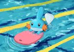  afloat closed_mouth commentary_request gen_3_pokemon kickboard lane_line mudkip no_humans pokemon pokemon_(creature) pool ripples sawasamesuke solo splashing swimming water 