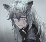  1girl absurdres animal_ears arknights bangs black_jacket closed_mouth commentary grey_eyes grey_hair highres jacket lappland_(arknights) long_hair looking_at_viewer outdoors qmiqun rain scar scar_across_eye solo symbol-only_commentary upper_body wet wet_clothes wet_hair wet_jacket wolf_ears wolf_girl 