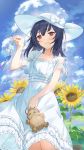  1girl blue_hair blue_sky blush breasts commentary_request doll dress flower hat hayashi_kewi highres idolmaster idolmaster_shiny_colors looking_at_viewer morino_rinze red_eyes short_hair sky small_breasts smile sun_hat sunflower white_dress white_headwear wind_chime 