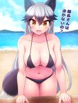  1girl animal_ears beach bikini black_bikini black_hair breasts collarbone day fox_ears fox_girl fox_tail gradient_hair grey_hair hair_between_eyes highres kemono_friends large_breasts looking_at_viewer multicolored_hair navel ocean outdoors sand silver_fox_(kemono_friends) solo standing swimsuit tail totokichi yellow_eyes 