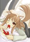  apple apples eating food fruit garyou holo spice_and_wolf tail wolf_ears 