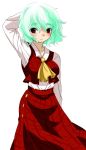  ascot blush frown green_hair kazami_yuuka plaid plaid_skirt plaid_vest red_eyes short_hair skirt skirt_set standing touhou white_background 