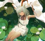  1girl animal_ears arknights arm_up armpits bangs blush closed_mouth collarbone commentary_request dark_skin dress expressionless eyebrows_visible_through_hair flower from_above holding horns koio lily_pad long_hair looking_at_viewer looking_up low_twintails ripples see-through shawl silver_hair sitting sleeveless sleeveless_dress soaking_feet solo twintails water wet wet_clothes wet_dress white_dress white_flower 