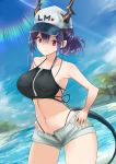  1girl arknights bangs bare_arms bare_shoulders baseball_cap bikini black_bikini blue_sky breasts ch&#039;en_(arknights) clouds commentary_request cowboy_shot day dragon_horns dragon_tail grey_shorts hair_between_eyes hands_on_hips hat heart highleg highleg_bikini horns large_breasts long_hair looking_at_viewer navel open_fly purple_hair red_eyes short_shorts shorts sidelocks sky solo standing stomach swimsuit tail thighs water white_headwear yuzuruka_(bougainvillea) 