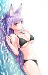  1girl animal_ear_fluff animal_ears artist_request ass bangs bikini black_bikini breasts closed_mouth collarbone fox_ears highres kamishiro_natsume large_breasts long_hair looking_at_viewer lying melty+ on_back partially_submerged purple_hair red_eyes sideboob sidelocks simple_background solo swimsuit thighs very_long_hair virtual_youtuber water white_background 