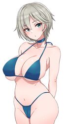  1girl anastasia_(idolmaster) arms_behind_back bikini blue_bikini blue_eyes blue_neckwear breasts choker collarbone commentary_request head_tilt highres idolmaster idolmaster_cinderella_girls large_breasts looking_at_viewer mitsukazu_(nijigen_complex) short_hair silver_hair simple_background solo swimsuit white_background 