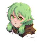  1girl absurdres antennae blush cloak elf goblin_slayer! green_eyes green_hair high_elf_archer_(goblin_slayer!) highres hood light_green_hair pointy_ears self_upload solo 