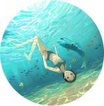  caustic_lighting fish freediving original otani_osamu sunlight swimsuit underwater upside-down water 