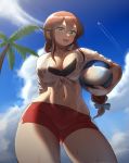  1girl aircraft airplane ball bangs beachball bikini black_bikini blue_sky braid brown_hair clouds commentary_request condensation_trail day from_below green_eyes highres kantai_collection long_hair long_sleeves looking_at_viewer maku_ro noshiro_(kantai_collection) outdoors palm_tree red_shorts shirt short_shorts shorts sky sleeves_rolled_up solo swept_bangs swimsuit tied_shirt tree twin_braids white_eyes 