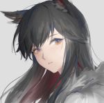  1girl animal_ears arknights bangs black_hair brown_eyes commentary_request grey_background head_tilt highres long_hair looking_at_viewer parted_lips portrait simple_background solo texas_(arknights) wolf_ears youyi_(jiam009) 