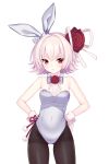  1girl animal_ears ass_visible_through_thighs bare_shoulders breasts bunny_girl bunnysuit embarrassed eve_(soccer_spirits) flower hair_flower hair_ornament hands_on_hips highres leotard looking_at_viewer official_art pantyhose pink_hair rabbit_ears red_eyes red_flower red_rose resized ribbon rose shirahane_nao short_hair side-tie_leotard small_breasts soccer_spirits upscaled white_leotard white_ribbon 