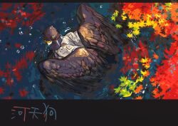  1boy absurdres autumn autumn_leaves bakushi_(smys2017) bird_boy black_wings commentary_request feathered_wings from_above full_body green_eyes highres japanese_clothes kimono leaf letterboxed looking_back male_focus partially_submerged ripples solo translation_request tsuyaza_no_tengu water water_drop wet wings 