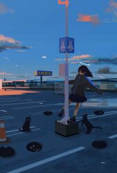  1girl absurdres apo_(rairaru20001) black_cat black_coat black_eyes black_hair black_shoes black_skirt blue_sky cat city clouds coat commentary_request full_body highres ikea medium_hair original outdoors scenery shoes skirt sky solo 