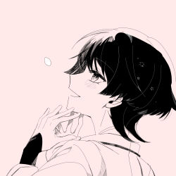  1boy armor blunt_ends blush commentary_request eyelashes falling_petals from_side genshin_impact greyscale hands_up happy highres japanese_armor japanese_clothes kariginu kote looking_at_object male_focus momonga_damon monochrome open_hands open_mouth petals pink_background profile scaramouche_(genshin_impact) scaramouche_(kabukimono)_(genshin_impact) solo tsurime wispy_bangs 