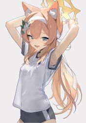 1girl absurdres animal_ear_fluff animal_ears armpits arms_up black_buruma blue_archive blue_eyes blush breasts buruma cat_ears commentary double-parted_bangs gym_shirt gym_uniform halo headband highres long_hair looking_at_viewer mari_(blue_archive) mari_(track)_(blue_archive) nanabi official_alternate_costume open_mouth orange_hair ponytail ribbon shirt simple_background solo white_background white_headband white_ribbon white_shirt yellow_halo 