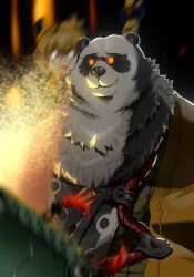  1boy 1girl animal_ears black-fur blonde_hair chinese_clothes cooking food fried_rice hashtag-only_commentary ju_fufu mochamuzzle multicolored_fur pan_yinhu panda_boy panda_ears round_eyewear shirt smile tail tiger_ears tiger_stripes tiger_tail white_fur wok yellow_shirt zenless_zone_zero 