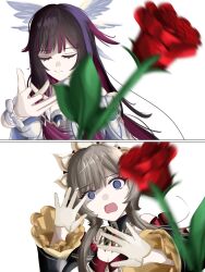  2girls @_@ absurdres bare_shoulders black_collar black_hair black_sleeves blue_eyes blurry blurry_foreground bonnet breasts brown_hair closed_eyes closed_mouth collar columbina_(genshin_impact) detached_collar detached_sleeves dress flower genshin_impact gloves hair_flaps hair_ornament head_wings headdress highres incoming_attack incoming_object long_hair long_sidelocks long_sleeves looking_at_viewer meme motion_blur multicolored_hair multiple_girls multiple_wings open_mouth purple_hair purple_streaks pyipyimime red_flower red_rose ribbon rose sandrone_(genshin_impact) short_hair short_hair_with_long_locks sidelocks simple_background smile streaked_hair throwing tossing two-tone_hair upper_body very_long_hair white_background white_dress white_headdress white_wings wing_hair_ornament wings woe_plague_be_upon_ye_(meme) wrist_bow 