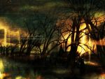  dark forest glowing glowing_eyes hal_(artist) nature poem poetry translated tree trees wallpaper widescreen 