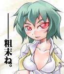  green_hair kazami_yuuka lowres nyagakiya open_clothes open_shirt red_eyes shirt short_hair touhou translation_request untied 