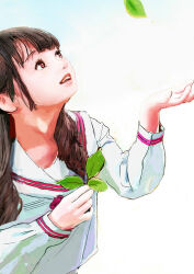  1girl absurdres amiwa brown_eyes brown_hair commentary_request falling_leaves hand_up highres holding holding_leaf leaf long_hair long_sleeves looking_up original school_uniform serafuku solo upper_body white_serafuku 
