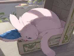  :< animal_ears black_eyes body_fur box espeon forehead_jewel forked_tail in_box in_container lying narrowed_eyes no_humans olyester pink_fur plant pokemon pokemon_(creature) pokemon_focus potted_plant sprigatito tail window_shadow 