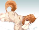  cyprus holo spice_and_wolf tail wolf_ears 