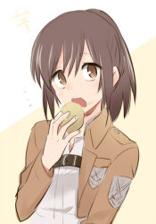  1girl :o brown_eyes brown_hair brown_jacket chest_belt collared_jacket cropped_jacket dot_nose eating food food_on_face hand_up holding holding_food ica jacket long_sleeves looking_at_viewer notice_lines open_clothes open_jacket open_mouth paradis_military_uniform ponytail potato round_teeth sasha_blouse shingeki_no_kyojin shirt solo swept_bangs teeth training_corps_(emblem) two-tone_background upper_body upper_teeth_only white_shirt 
