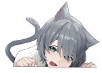  1girl animal_ears bangs blue_eyes cat_ears cat_tail cheek_press chin_rest commentary_request cropped_shoulders crowcrycaw fang grey_hair hair_over_one_eye highres korean_commentary looking_at_viewer open_mouth original shirt short_hair simple_background slit_pupils solo swept_bangs tail upper_body white_background white_shirt 