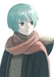  1girl aqua_eyes aqua_hair black_coat closed_mouth coat commentary_request expressionless highres looking_to_the_side original red_scarf scarf short_hair simple_background solo turquoise_iro white_background winter_clothes winter_coat 
