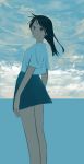  1girl absurdres arms_at_sides black_hair blue_skirt blue_theme brown_eyes closed_mouth clouds commentary_request highres horizon long_hair looking_at_viewer ocean original shirt short_sleeves skirt solo standing turquoise_iro white_shirt 
