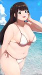  1girl accio beach bikini blue_sky breasts brown_hair clouds commentary_request fat hair_ribbon happy highres large_breasts long_hair navel original plump ribbon sky solo sweat swimsuit tanuma_miyuki twintails water white_bikini 