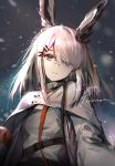  1girl animal_ears arknights bangs commentary elise_(piclic) facial_scar frostnova_(arknights) grey_capelet grey_eyes hair_ornament hairclip long_hair long_sleeves looking_at_viewer nose_scar rabbit_ears scar silver_hair smile solo upper_body 