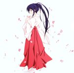  cherry_blossoms hair_ribbon hair_ribbons japanese_clothes long_hair miko petals ponytail ribbon ribbons tabi 
