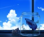  aircraft airplane blue_theme clouds condensation_trail cup fish indoors mizuasagi no_humans original scenery shell water window 