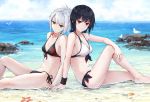  2girls back-to-back bangs beach bikini bird black_bikini black_hair breasts collarbone day front-tie_bikini front-tie_top green_eyes highres long_hair looking_at_viewer medium_breasts multiple_girls navel ocean original outdoors ponytail red_eyes seagull seashell shell shibanme_tekikumo short_hair side-tie_bikini silver_hair sitting smile starfish sweatband swimsuit white_bikini yuri 