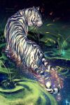  animal closed_mouth commentary english_commentary from_behind green_eyes highres looking_away looking_to_the_side no_humans original tiger wading water watermark web_address white_tiger yuumei 