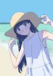  1girl bangs beach black_hair dress grey_eyes hat highres long_hair looking_at_viewer ocean original solo sun_hat warder2013 white_dress 