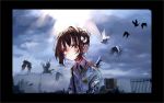  1girl bangs bird black_border blood blood_on_face border brown_hair child clouds cloudy_sky collared_shirt commentary earrings english_commentary hair_bun hair_ornament halo highres jewelry looking_at_viewer multiple_earrings orange_eyes original outdoors shirt short_hair sky solo_focus sunlight tokikosann upper_body 