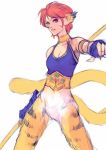  1girl animal_ears breasts breath_of_fire breath_of_fire_ii bustier cat_ears cat_tail facial_mark gloves highres looking_at_viewer no_pants orange_hair pointy_ears rinpoo_chuan short_hair simple_background solo tail white_background 