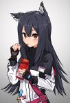  1girl animal_ear_fluff animal_ears arknights bangs black_capelet black_gloves black_hair blush brown_eyes capelet commentary fingerless_gloves food gloves grey_background hair_between_eyes hand_up highres holding holding_food id_card jacket kuronosu_(yamada1230) long_hair long_sleeves looking_at_viewer pocky simple_background solo star_(symbol) texas_(arknights) upper_body white_jacket wolf_ears 