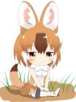  1girl animal_ear_fluff animal_ears bangs bare_shoulders blush boots breasts brown_eyes brown_hair brown_legwear brown_skirt chibi closed_mouth commentary_request dhole_(kemono_friends) drooling eyebrows_visible_through_hair full_body gloves hair_between_eyes highres kemono_friends multicolored_hair pleated_skirt saliva shin01571 shirt shoe_soles sitting skirt sleeveless sleeveless_shirt small_breasts solo tail tail_raised thigh-highs two-tone_hair white_background white_footwear white_gloves white_hair white_shirt 