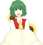  ascot flower green_hair kazami_yuuka parasol plaid_vest red_eyes short_hair sunflower touhou umbrella white_background 