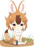  1girl animal_ear_fluff animal_ears bangs bare_shoulders blush boots breasts brown_eyes brown_hair brown_legwear brown_skirt chibi closed_mouth commentary_request dhole_(kemono_friends) drooling eyebrows_visible_through_hair full_body gloves hair_between_eyes highres kemono_friends multicolored_hair pleated_skirt revision saliva shin01571 shirt shoe_soles sitting skirt sleeveless sleeveless_shirt small_breasts solo tail tail_raised thigh-highs two-tone_hair white_background white_footwear white_gloves white_hair white_shirt 