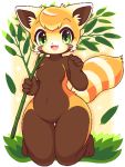  1girl :3 :d animal_nose blush branch breasts brown_fur commentary_request fang furry grass green_eyes holding holding_branch leaf lowres medium_breasts no_nipples open_mouth orange_fur orange_hair original partial_commentary red_panda red_panda_ears red_panda_girl red_panda_tail simple_background smile solo takiune whiskers white_fur wide_hips 