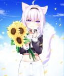  1girl :t absurdres ahoge animal_ears cat_ears cat_tail chiutake_mina closed_mouth commentary_request eating flower food food_on_face hairband head_tilt highres holding holding_flower holding_food hololive looking_at_viewer midriff navel nekomata_okayu onigiri petals purple_hair solo standing sunflower tail violet_eyes virtual_youtuber 