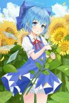  1girl :o bangs blouse blue_dress blue_eyes blue_hair blue_sky blush bow chinese_commentary cirno clouds collared_blouse collared_shirt commentary_request cowboy_shot day dishiren dress eyebrows_visible_through_hair field flower flower_field frilled_sleeves frills hair_bow half_updo hand_up highres holding holding_flower ice ice_wings looking_at_viewer neck_ribbon open_mouth outdoors petals pinafore_dress plant puffy_sleeves red_neckwear red_ribbon ribbon shirt short_hair sidelocks sky sunflower sunflower_petals touhou upskirt water_drop white_blouse white_shirt wing_collar wings yellow_flower 