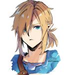  1boy bangs blonde_hair blue_eyes closed_mouth cropped_torso eyebrows_behind_hair hair_over_one_eye highres link looking_at_viewer male_focus pointy_ears signature simple_background sofra solo the_legend_of_zelda tunic twitter_username upper_body white_background 